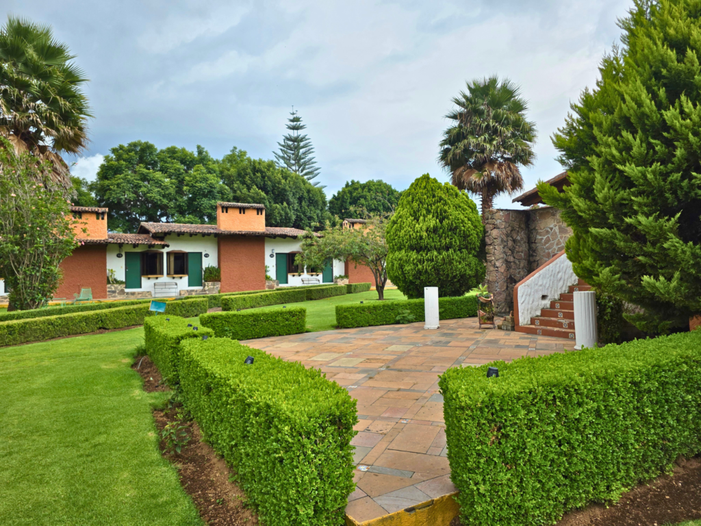 Detalle del patio con arbustos de una habitación